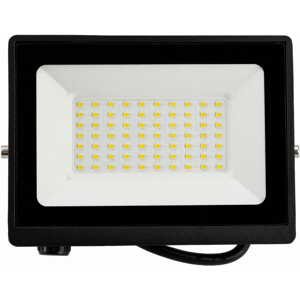 LED reflektor 50W - 2v1 - studená bílá