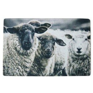 Interiérová rohožka s malovanými ovcemi - 75*50*1cm Mars & More