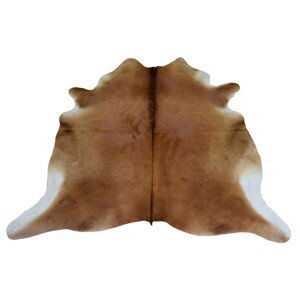 Hnědý koberec z hovězí kůže Cowhide brown - 200*0,5*240cm/3-4m² J-Line by Jolipa