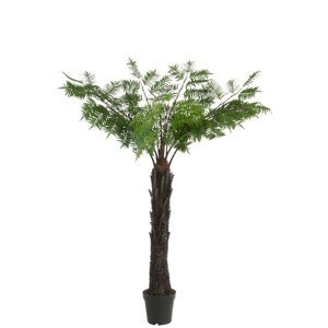 Okrasná palma v květináči - Ø150*190cm