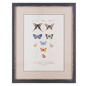 Obraz v dřevěném rámu s motýly - 38*2*48 cm