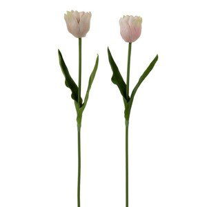 2ks staro-růžová kytička Tulipán - 8*5*52cm