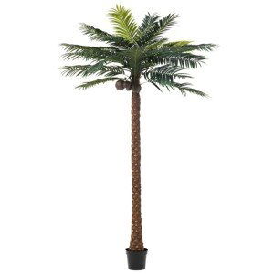 Okrasná palma v květináči Palm - Ø190*350cm