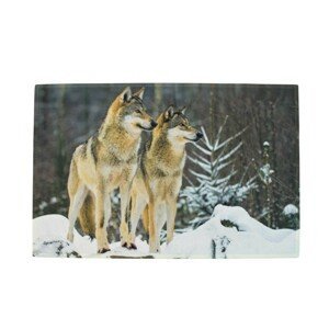 Podlahová rohožka 2 vlci na sněhu  - 75*50*1cm