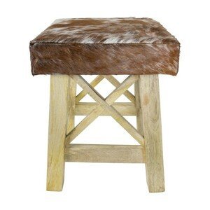 Hnědá dřevěná stolička Taurus s potahem z hovězí kůže - 35*35*35cm Mars & More