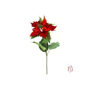Vánoční růže, poinsécie , barva červená UKK-044, sada 6 ks