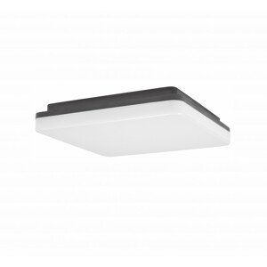 Svítidlo Nova Luce TOMMY S TOP GREY stropní, IP 54, 24 W