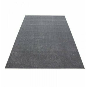 Kusový koberec Ata 7000 lightgrey (Varianta: 120 x 170 cm)