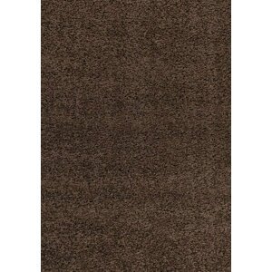 Kusový koberec Dream Shaggy 4000 brown (Varianta: 160 x 230 cm)