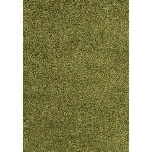 Kusový koberec Dream Shaggy 4000 green (Varianta: 120 x 170 cm)