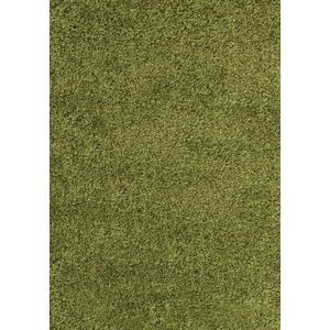 Kusový koberec Dream Shaggy 4000 green (Varianta: Kulatý 80 cm průměr)