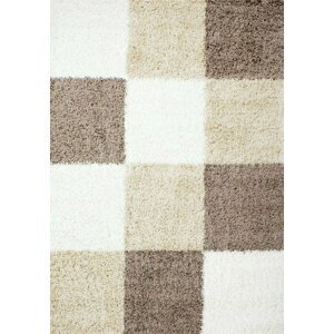 Kusový koberec Life Shaggy 1501 mocca (Varianta: 200 x 290 cm)