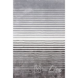 Kusový koberec Creative 22SGS (Varianta: 80 x 150  cm)