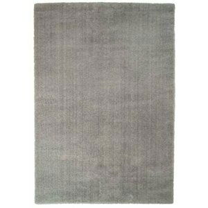 Kusový koberec Delgardo K11501-04 silver (Varianta: 200 x 290 cm)