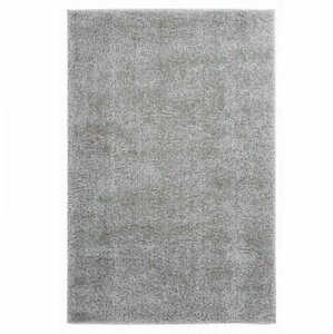 Kusový koberec Emilia 250 silver (Varianta: 120 x 170 cm)