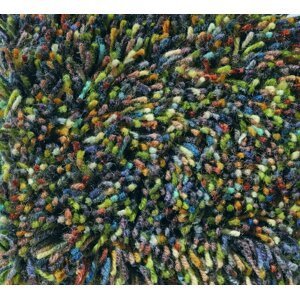 Moderní vlněný kusový koberec Flamenco 59017, zelený Brink & Campman (Varianta: 250 x 350)