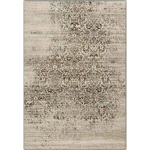 Moderní kusový koberec Patina 41001/620 Osta (Varianta: 80 x 140)