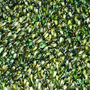 Moderní vlněný kusový koberec Spring 59107, zelený Brink & Campman (Varianta: 170 x 240)