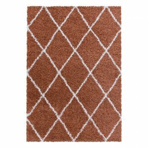 Kusový koberec Alvor shaggy 3401 terra (Varianta: 120 x 170 cm)