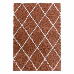 Kusový koberec Alvor shaggy 3401 terra (Varianta: 240 x 340 cm)