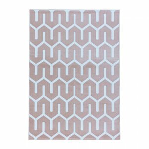 Kusový koberec Costa 3524 pink (Varianta: 160 x 230 cm)
