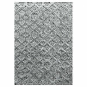 Kusový koberec Pisa 4702 grey (Varianta: 120 x 170 cm)