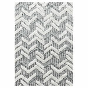 Kusový koberec Pisa 4705 grey (Varianta: 120 x 170 cm)