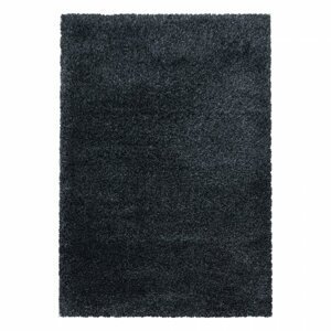 Kusový koberec Fluffy shaggy 3500 antraciet (Varianta: 120 x 170 cm)