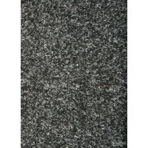 BFS Europe NV Metrážový koberec PRIMAVERA 236, šíře role 400 cm, Černá, role 4m
