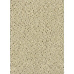 B.I.G. Floorcoverings nv Metrážový koberec MELODY 311, šíře role 400 cm, Béžová, Vícebarevné (Šířka role: 4 m)