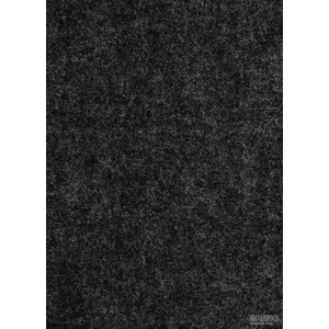 BFS Europe NV Metrážový koberec AVENUE 0900, šíře role 400 cm, Černá, role 4m