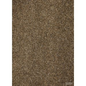 BFS Europe NV Metrážový koberec AVENUE 0300, šíře role 400 cm, Hnědá, role 4m