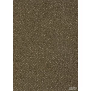 Division PA Metrážový koberec FORTESSE SDE NEW 40, šíře role 400 cm, Hnědá, Vícebarevné, role 4m