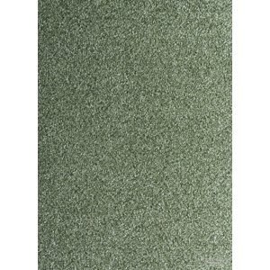 ASSOCIATED WEAVERS EUROPE NV Metrážový koberec COSY 24, šíře role 400 cm, Zelená, role 4m