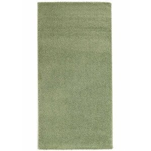 Sintelon doo Kusový koberec DOLCE VITA 01/AAA, Zelená (Rozměr: 120 x 170 cm)