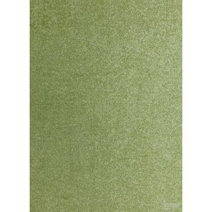 Division PA Metrážový koberec AVELINO 23, šíře role 400 cm, Zelená, role 4m