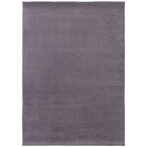 BO-MA Trading Int. s.r.o. Kusový koberec SPRING lila, Fialová (Rozměr: 140 x 200 cm)