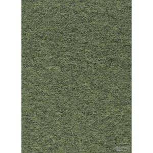 ASSOCIATED WEAVERS EUROPE NV Metrážový koberec MEDUSA - PERFORMA 21, šíře role 400 cm, Zelená, role 4m