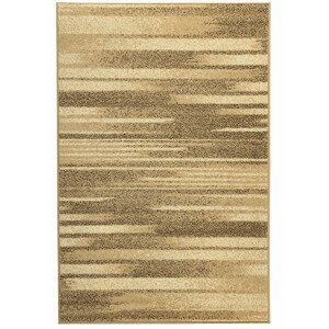 Sintelon doo Kusový koberec PRACTICA A1/BEB, Hnědá, Vícebarevné (Rozměr: 200 x 300 cm)