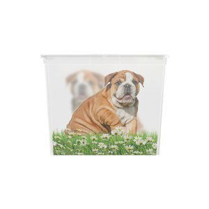 KIS C box Puppy and Kitten - XL