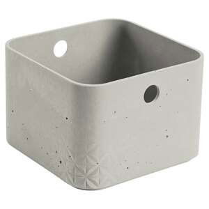 CURVER BETON box - XS