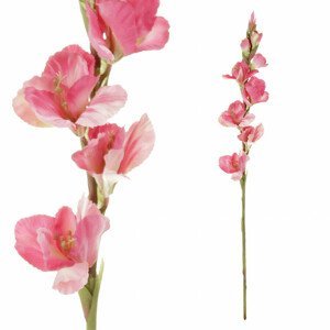 Gladiola, barva růžová. Květina umělá. KT7300-PINK