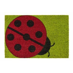 Rohožka 147 Ruco print 804 ladybug green