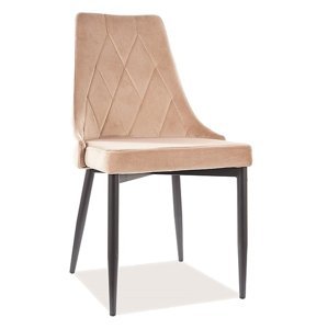 Jídelní čalouněná židle REX velvet béžová/černá