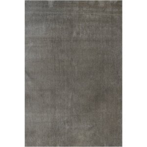 Kusový koberec Labrador 71351-080 taupe (Varianta: 120 x 170 cm)