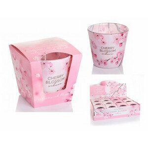 Svíčka ve skle CHERRY BLOSSOM-SAKURA BLUSH vonná 115g