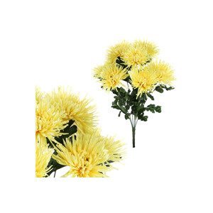 Chryzantéma puget, žlutá barva. KU4333, sada 2 ks