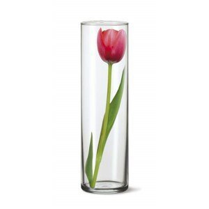 Váza skleněná DRUM II 27,5 x 8,4 cm