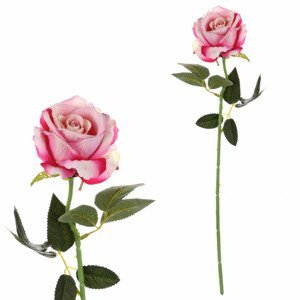 Růže, barva tmavě růžová, samet. KN6123-PINK-DK