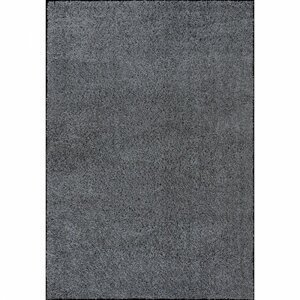 Kusový koberec Queens 1200 grey (Varianta: 120 x 170 cm)